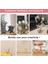 5 Parça Kedi Figürlü Kalem Tutucu (Yurt Dışından) 4