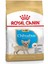 Chihuahua Junior Yavru Köpek Maması 1,5 kg 1