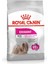 Ccn Mını Exıgent Yetişkin Köpek Maması 3 kg 1