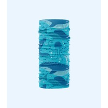 Bandanax Lilyi