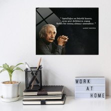 Decorita Einstein | Cam Tablo | Aptallığın Tanımı |