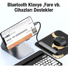 Polhammobile Polham 4in1 Type C Çoğaltıcı Çevirici Hub, 2x Usb, 1x Type C ve 1x 3.5mm Girişli Adaptör