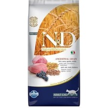 N&D  Cat Low Graın Kuzu Yaban Mersini Adult 5 kg