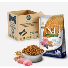 N&D  Düşük Tahıllı Kuzu Yaban Mersini Yetişkin Köpek Maması 2,5 kg