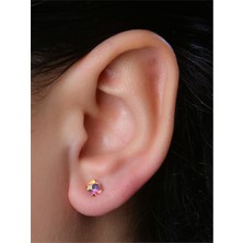 HD Piercing Yuvarlak Rainbow Gold Piercing