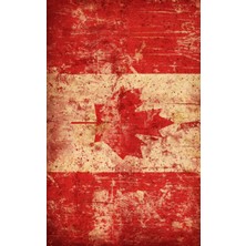 Buffalo Motorcu Baf Maske Outdoor Boyunluk Unisex Bandana