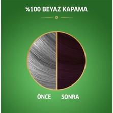 Wella Koleston Naturals Saç Boyası Kızıl Kestane 3/66