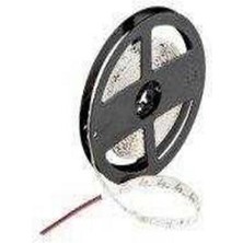 Sanec 4040 Mavi Şerit Led İç Mekan – 1 Metre