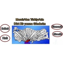 Kare Fan 150X172X50 220V Kuluçka Makinesine 35W