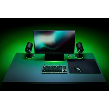 Razer Gıgantus V2 Large Mousepad - RZ02-03330300-R3M1