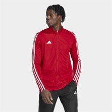 adidas Tiro 23 League Training Erkek Kırmızı Dik Yaka Ceket