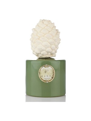 Missi 200 ml Kozalak Seramik Taşlı Spıce Orange Oda Kokusu