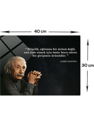 Decorita Einstein | Cam Tablo | Bilgelik Tanımı |