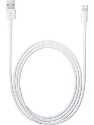 Sword Iphone Uyumlu Kablo Sw-Aeco Eko Ios 2 M