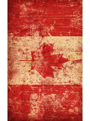 Buffalo Motorcu Baf Maske Outdoor Boyunluk Unisex Bandana