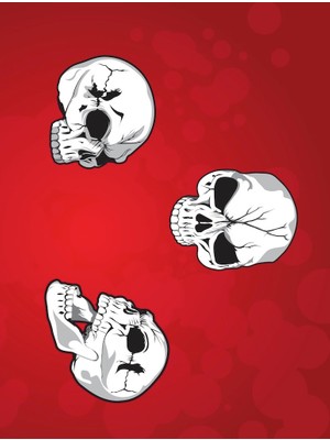 Buffalo Motorcu Baf Maske Outdoor Boyunluk Unisex Bandana