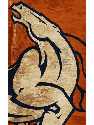 Buffalo Motorcu Baf Maske Outdoor Boyunluk Unisex Bandana