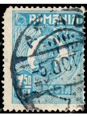 Buffalo Motorcu Baf Maske Outdoor Boyunluk Unisex Bandana