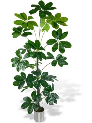 Nettenevime Yapay Ağaç Şeflera 18 Dallı Çalılı Gövde 120X60CM Gümüş Aleminyum Saksıda