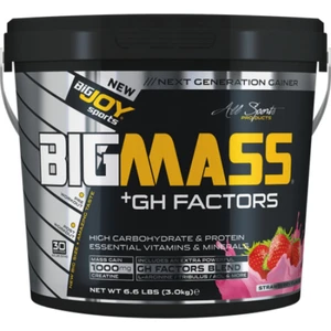 Bigjoy Sports Bigjoy Sports Bigmass Mass Gainer Gh Factors Karbonhidrat Protein Çilek Aroma 3000g