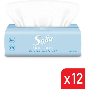 Skin Love Mendil 100'lü 12 Paket
