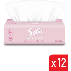 Skin Love Pudralı Mendil 100'lü 12 Paket