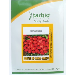 Tarbio Domates (Salçalık)