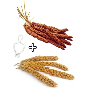Kızıl Dal Darı 150 gr & Ak Dal Darı 150 gr + Tutacak