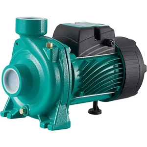 Tek Kademeli Santrifüj Pompa - THF6B-1 (2 Hp)