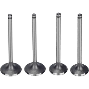 Mondial RX3i Evo 250 Subap Takımı