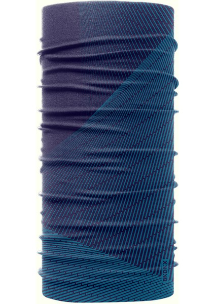 Nindr