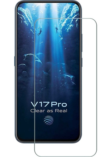 Apsuwa Vivo V17 Pro Ekran Koruyucu Nano