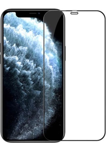 Apple iPhone 12 Pro Max Ekran Koruyucu Tam Ekran Seramik Nano