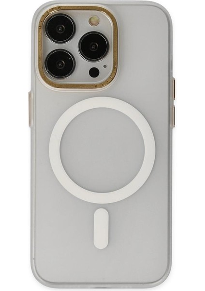 Apple iPhone 14 Pro Max Kılıf Mat Kadifemsi Special Edition Pc Magsafe Kapak fiyatları