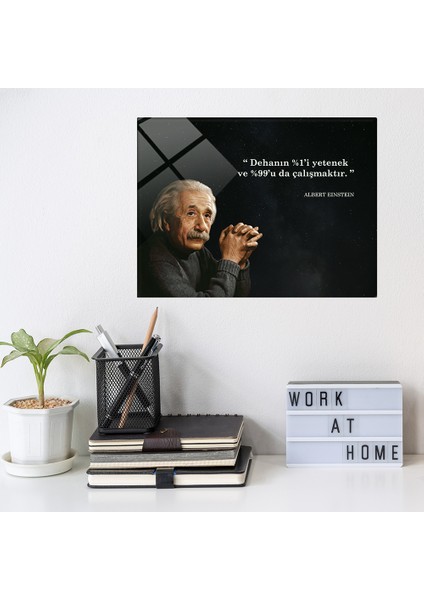 Einstein | Cam Tablo | Çalışmanın Önemi |