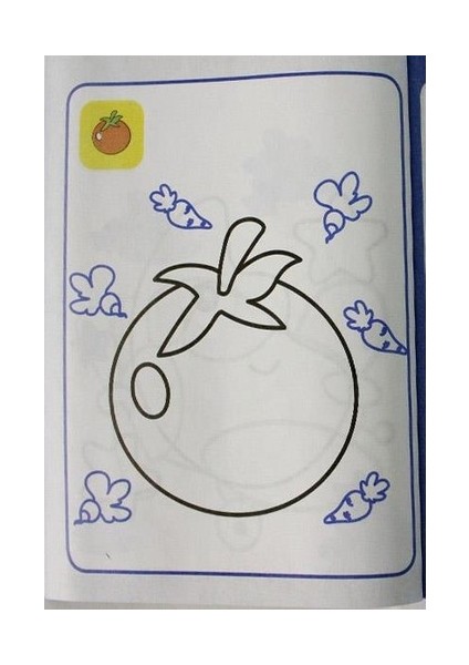 Örnekli Boyama, Aktiviteli Boyama Kitabı 5 Adet modelleri