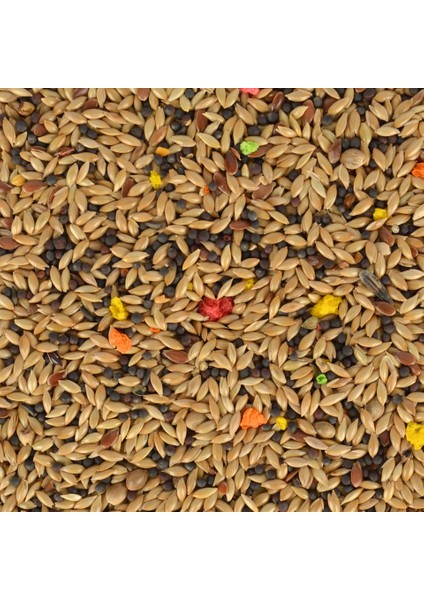 Kanarya Yemi 400 gr fiyatları