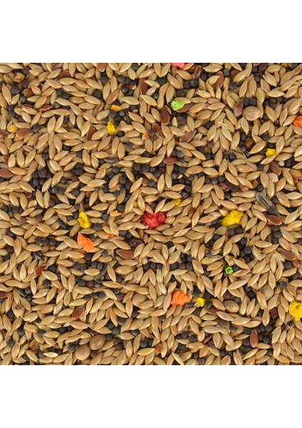 Kanarya Yemi 400 gr x 4 Adet fiyatları