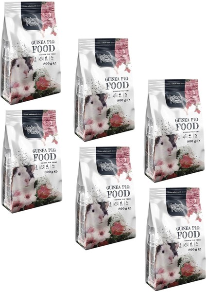 Meyve Aromalı Ballı Ginepig Yemi 800 gr (6 Adet)