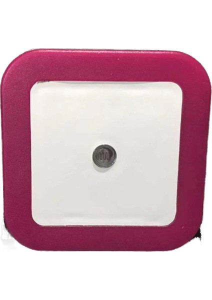 Akıllı Indüksiyon Gece Lambası (Yurt Dışından)