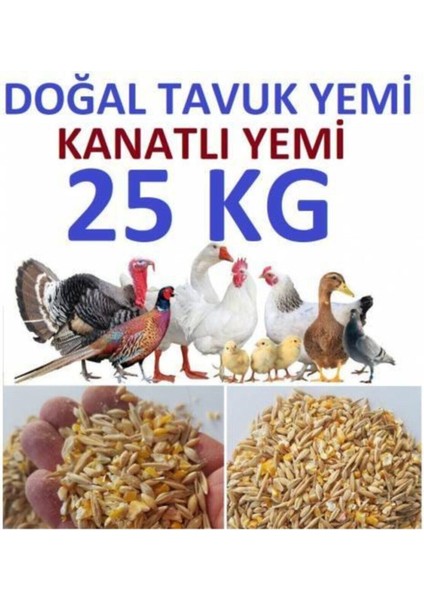 Tavuk Yemlik Buğday Çavgalar Tavuk ve Kuş Için Yemlik Buğday 25 kg fiyatları