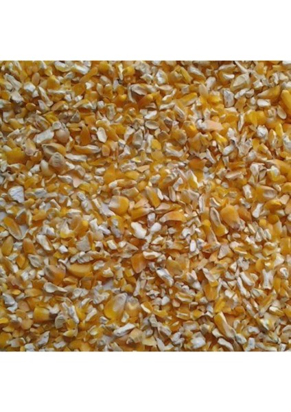 Yemlik Mısır Kırık Mısır 10 kg Tavuk Yemi Kuş Yemi Güvercin Yemi Hayvan Yemi modelleri