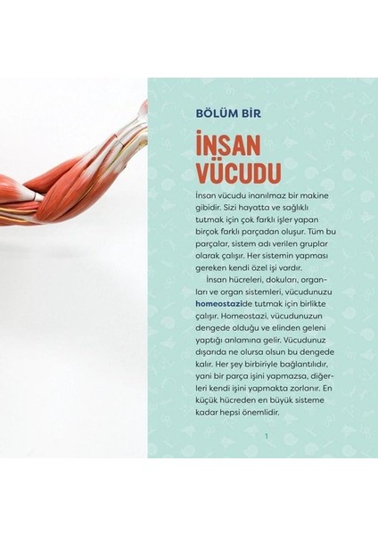 Orman Kitap İnsan Vücudu Genç Bir Bilim Insanı Için Kılavuz - Kristie Wagner