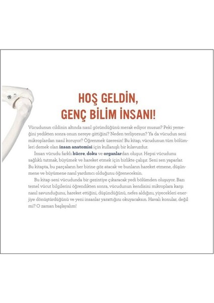 Orman Kitap İnsan Vücudu Genç Bir Bilim Insanı Için Kılavuz - Kristie Wagner