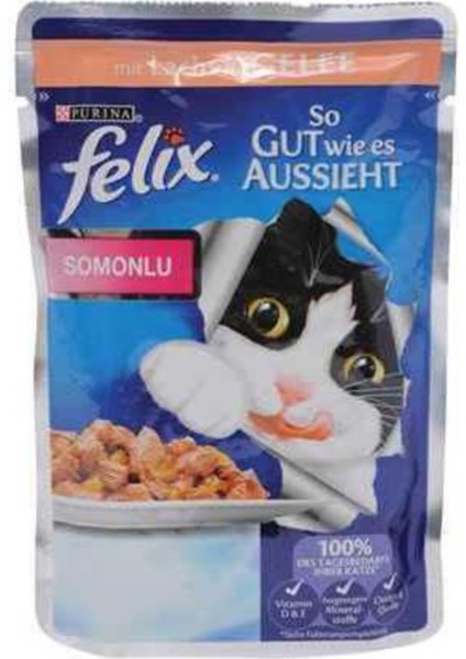 Pouch Somonlu Kedi Yaş Mama 48 Adet