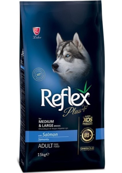 Plus Adult Dog Somonlu Yetişkin Köpek Maması 15 kg