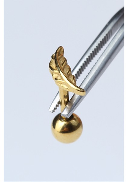 Tüy Model Gold Piercing