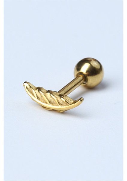 Tüy Model Gold Piercing fiyatları
