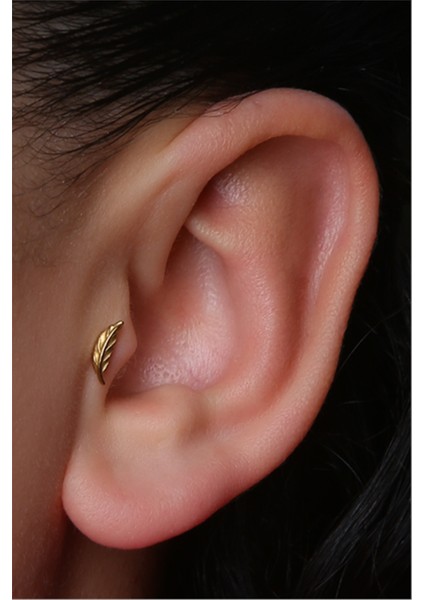 Tüy Model Gold Piercing modelleri