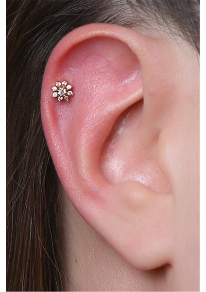 Sekiz Yaprak Çiçek Labret Gold Piercing